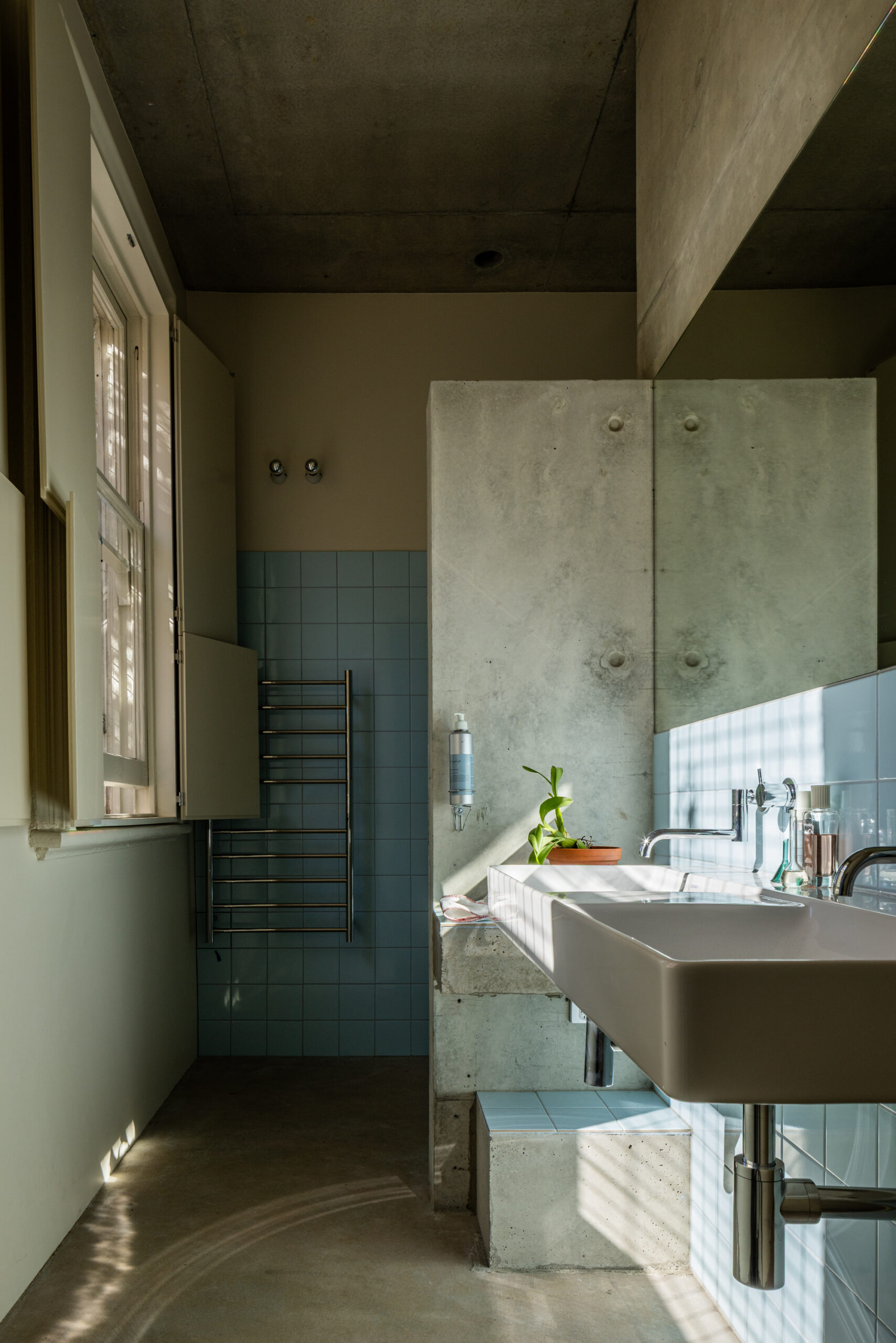 Image by Trevor Mein